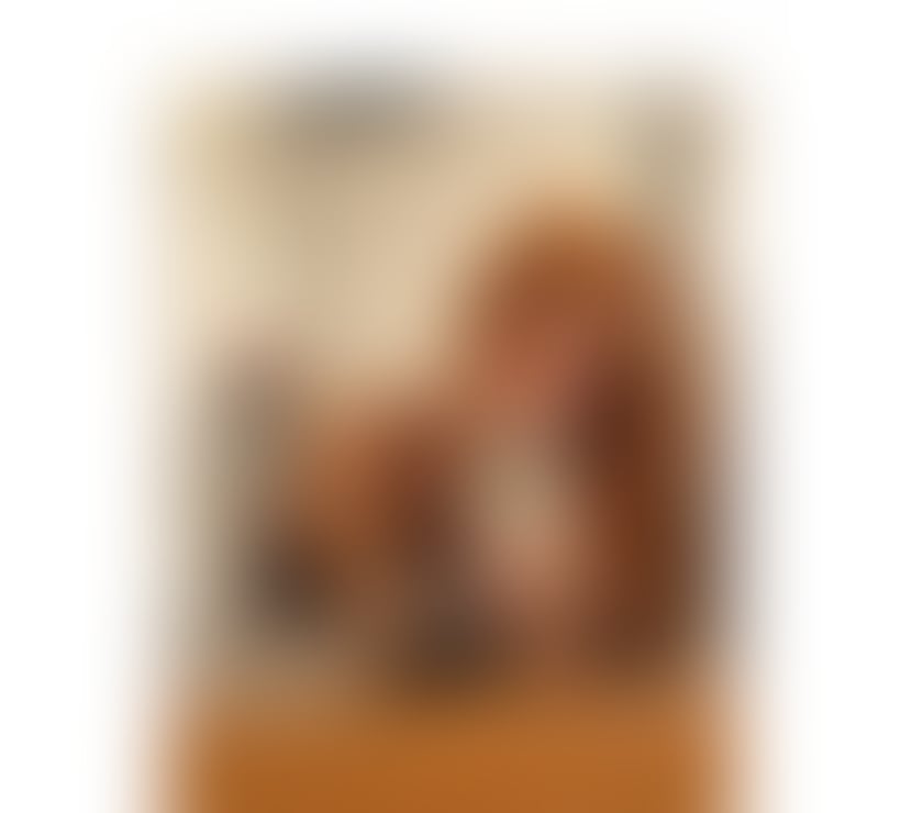 Escorts Devon Plymouth - Photos for ✨ ISA BRAZILIAN 🇧🇷🔥TRANS 🏳️‍⚧️🍆