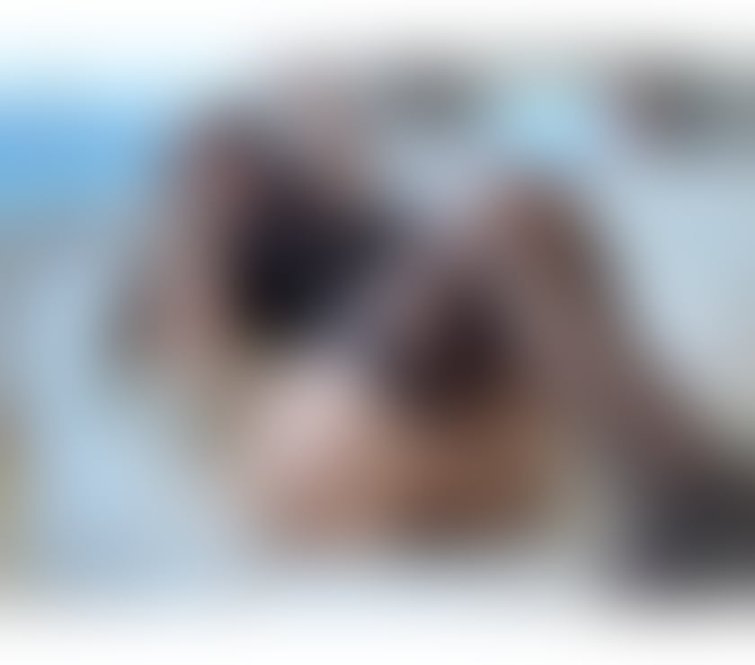 Escorts South West London Kingston upon Thames - Photos for 🔞GOOD SERVICE❤️QUALITY CLASSY BRAZILIAN🥳