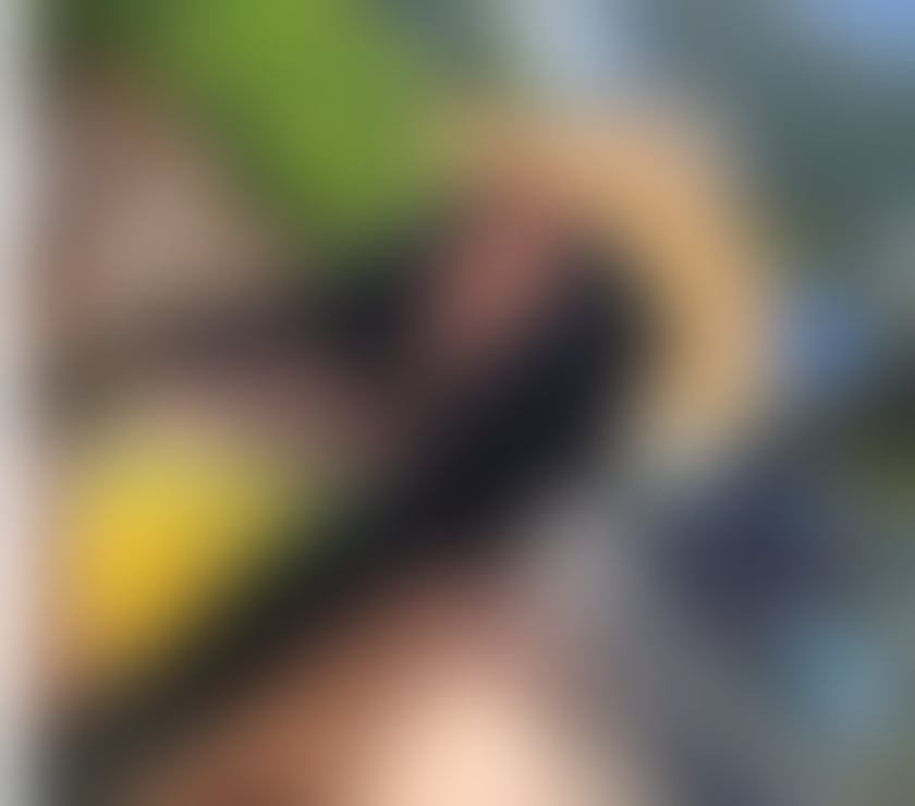 Escorts Dorset Bournemouth, Christchurch and Poole - Photos for Jessica 🥂🤤 new in town🇬🇧 party 24hrs!