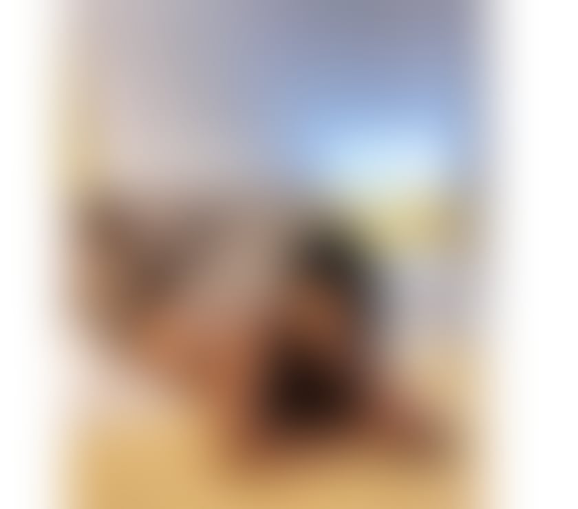  Escorts Dorking Mole Valley - Photos for Ana Clara Brazilian full services no rush 🍒 Party 🍒