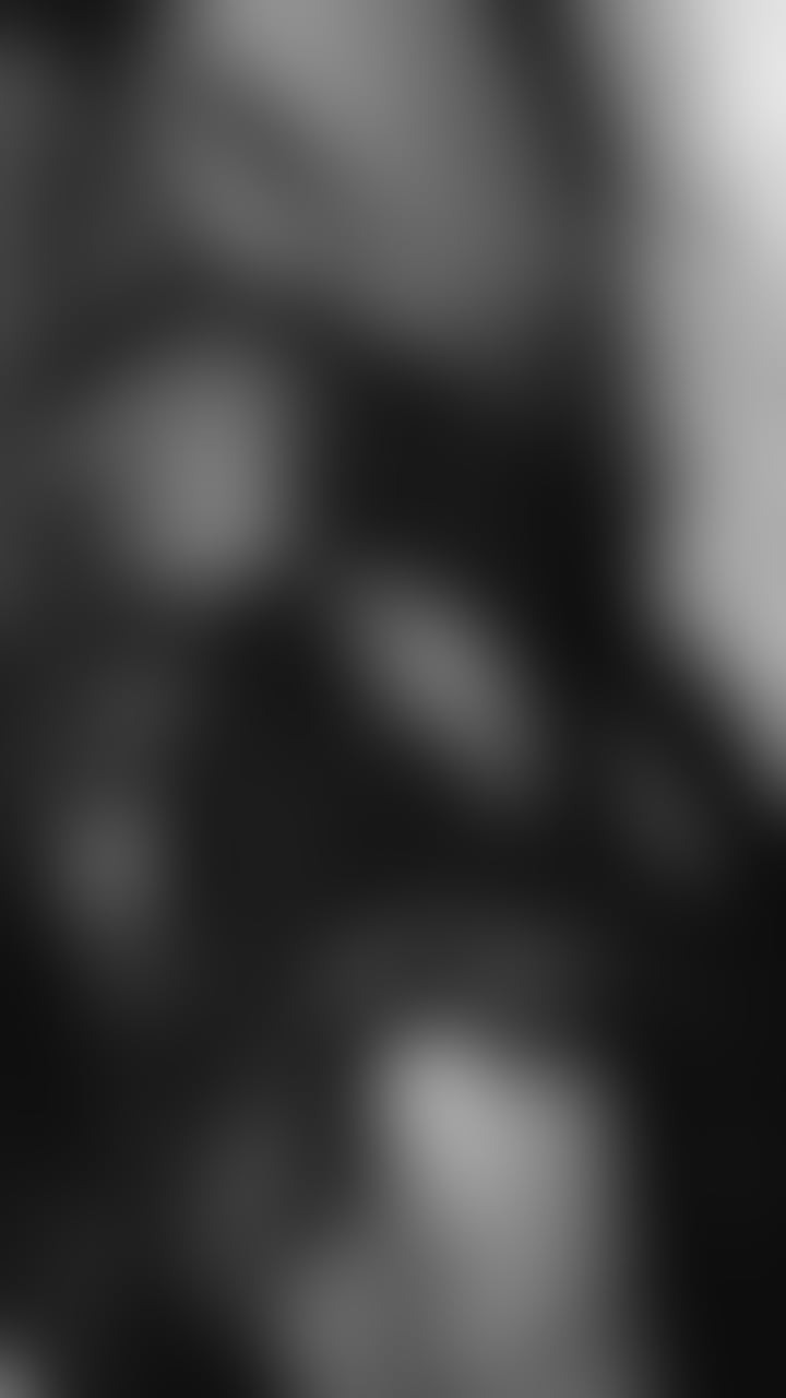 Escorts Leicestershire Leicester - 