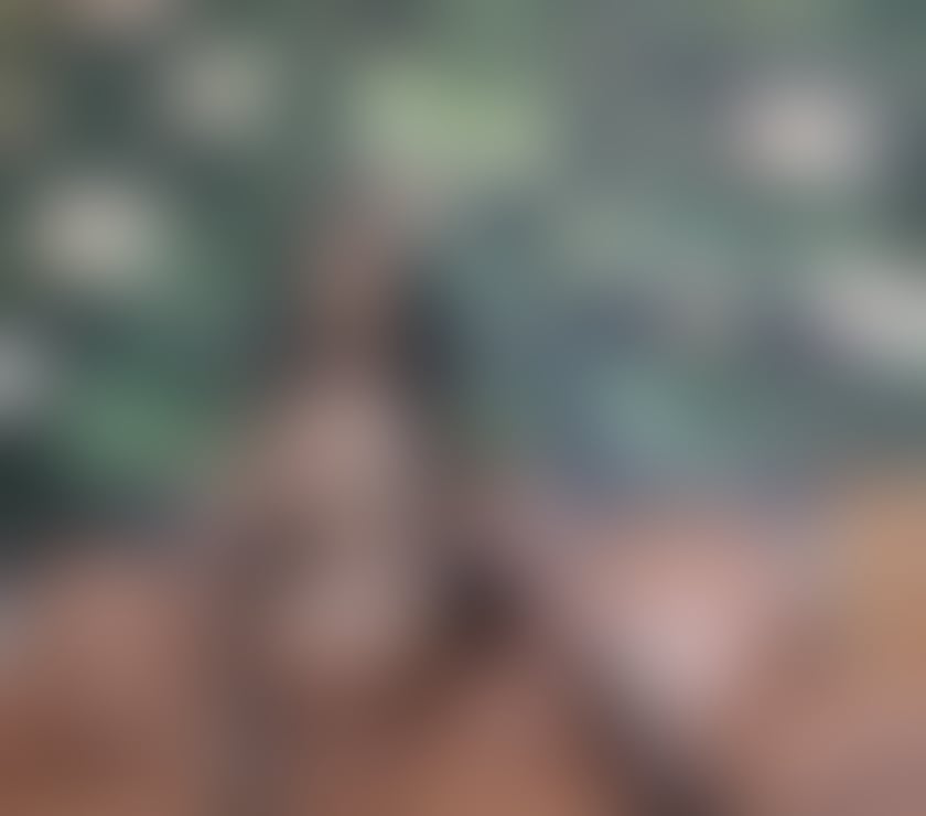 Trans Escorts Greater Manchester Manchester - Photos for Sexy pretty hot girl Escorts Massage