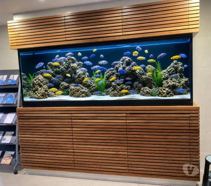 Other Services Kensington and Chelsea Central London - Photos for Affordable aquarium cleaning services Westminster