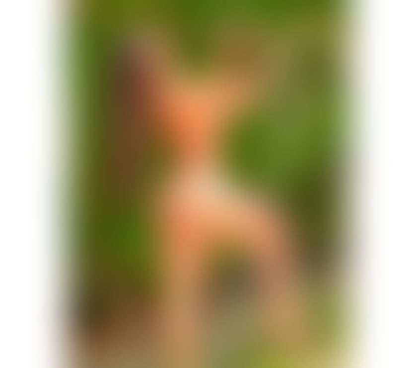 Escorts Hampshire Rushmoor - Photos for 💋✨SEXY LATINA✨💋