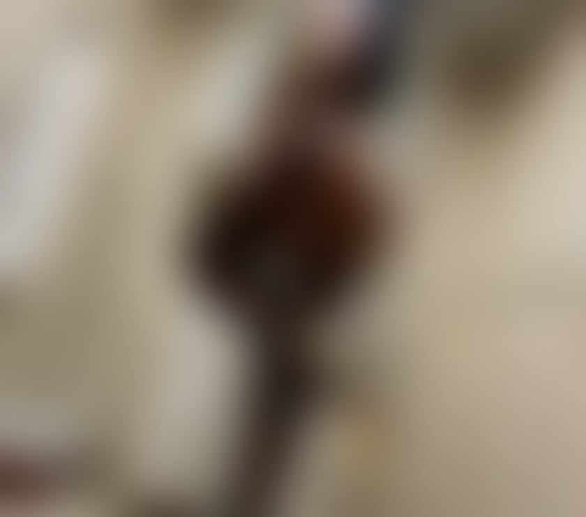 Escorts Essex Basildon - Photos for Karina new party girl on area