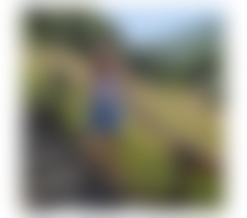 Escorts Nottinghamshire Mansfield - Photos for New in town ready for you