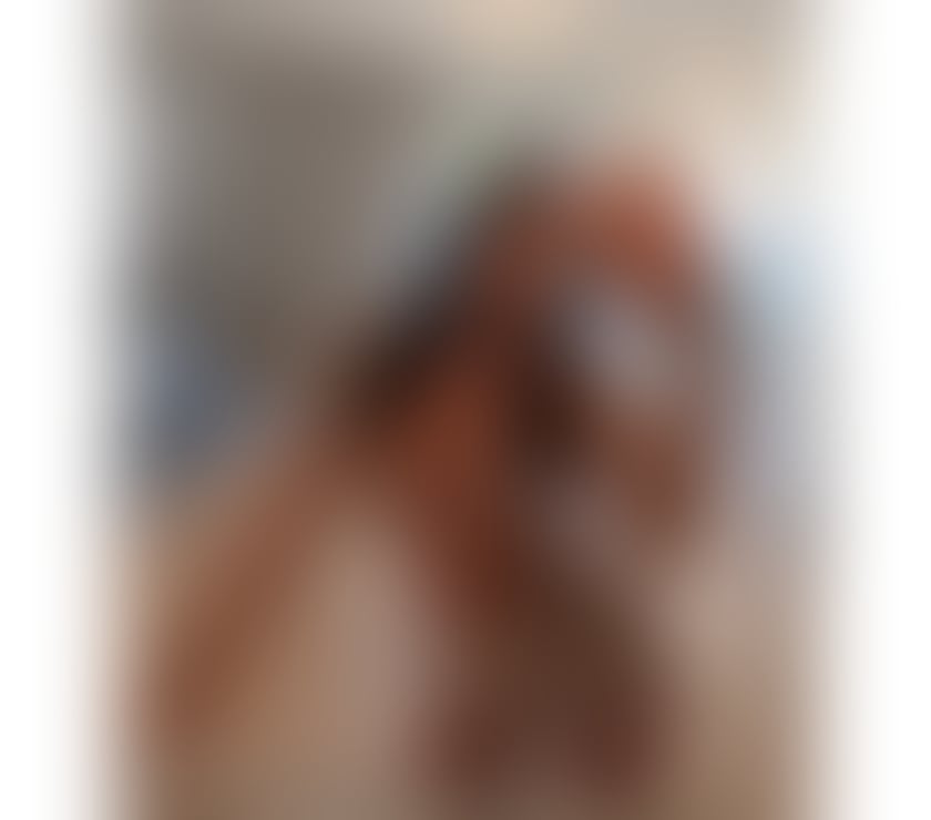 Escorts West Yorkshire Leeds - Photos for Allexa new here🔝🍆NO RUSH🔞Party🫦‼️