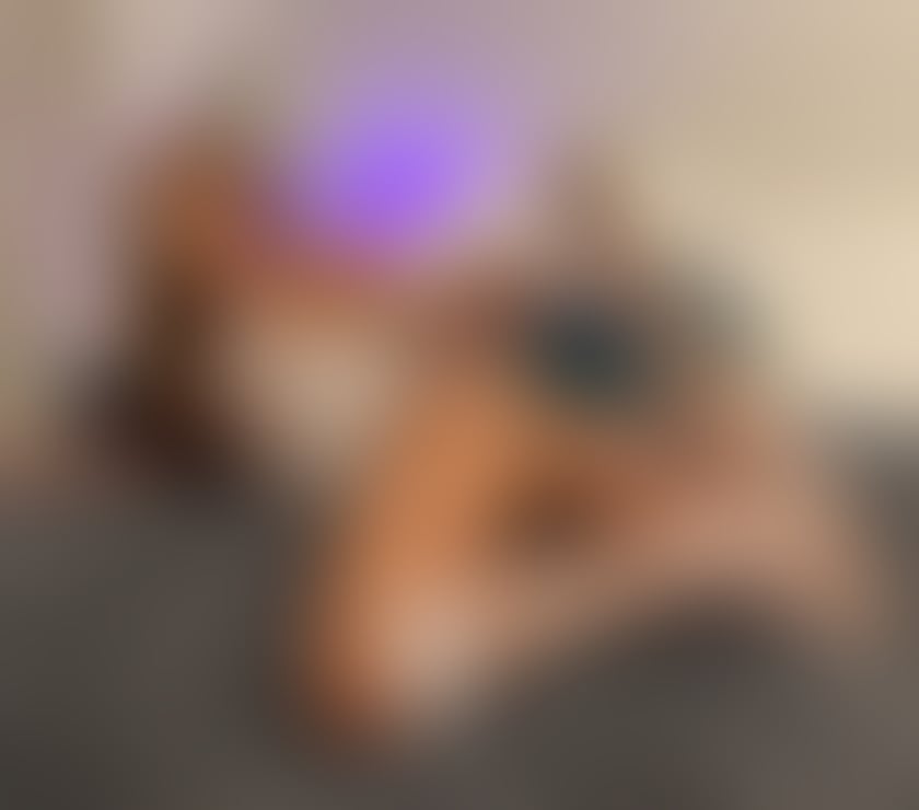 Trans Escorts North West London Kensal Green - North West London - Photos for New Karen Dom X