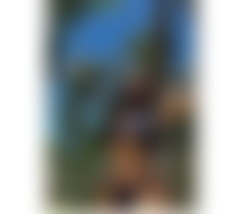 Escorts Central London London Bridge Station - Central London - Photos for Brazilian party girl ❤️‍🔥❤️‍🔥