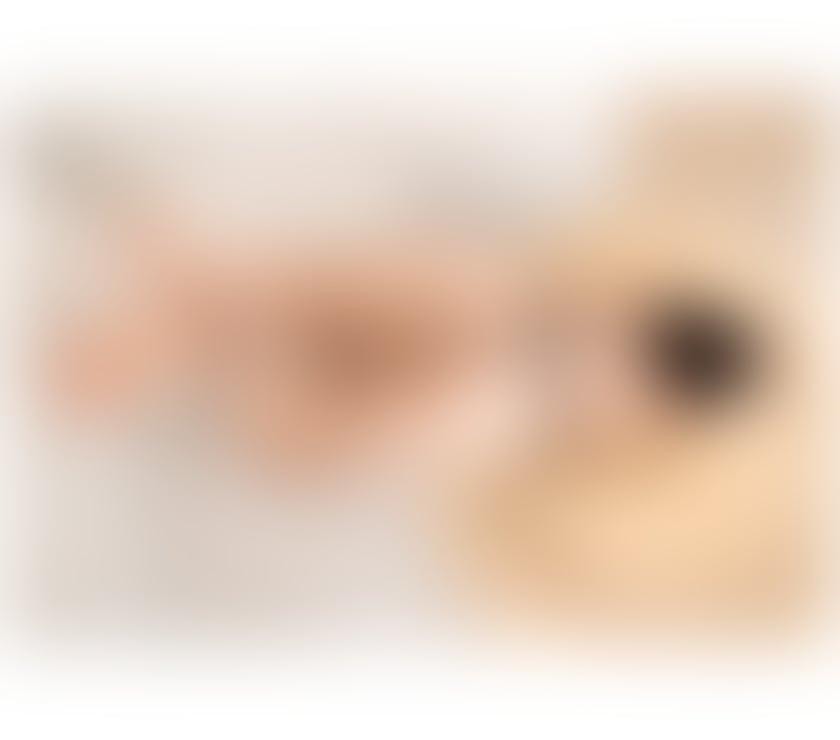 Escorts Derbyshire Derby - Photos for Sara, a Brazilian with a big butt 🧡 confirmation video