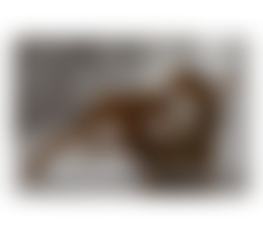 Escorts North Yorkshire Middlesbrough - Photos for ATTRACTIVE, NATURAL AND SEDUCTIVE ❤️‍🔥🔥