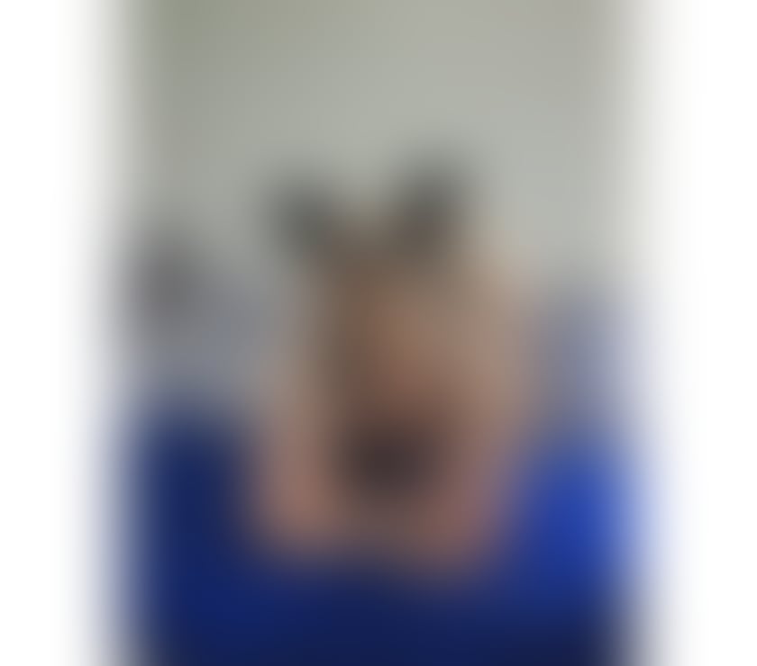 Escorts Leicestershire Leicester - Photos for Eva party girl♥️♥️