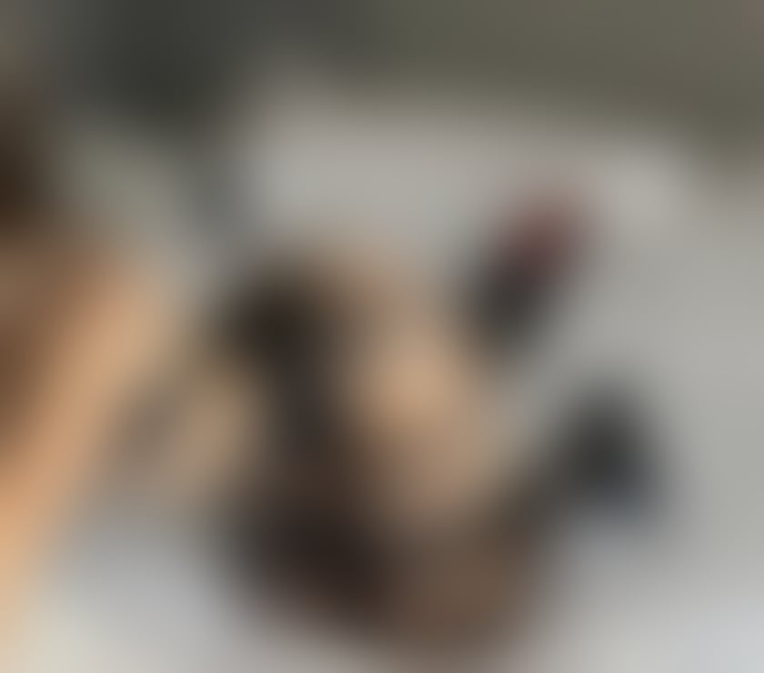 Escorts Worcestershire Wychavon - Photos for Hi I'm Jasmin New party girl in town only outcall 🍾