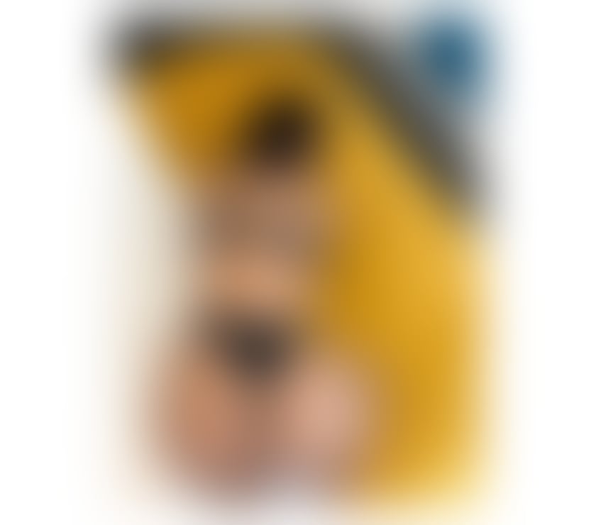 Escorts West Yorkshire Calderdale - Photos for Hi I am Alisha outcall party no rush