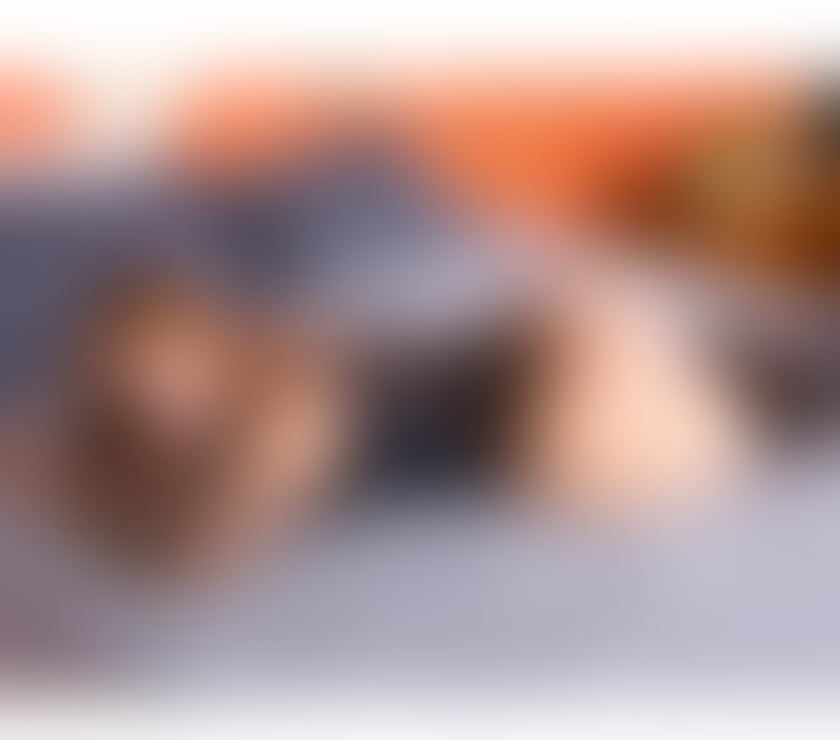 Escorts Carlisle Cumberland - Photos for 🇧🇷Brazilian Xvideos actress in town!🔥
