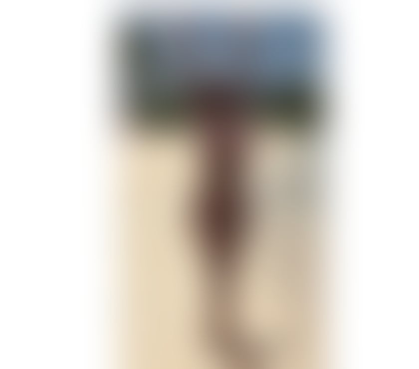  Escorts Weymouth Dorset - Photos for 🎡🎉🎉NEW SEXY SANDRA🫦✨️PARTY GIRL 🫦💦🎉