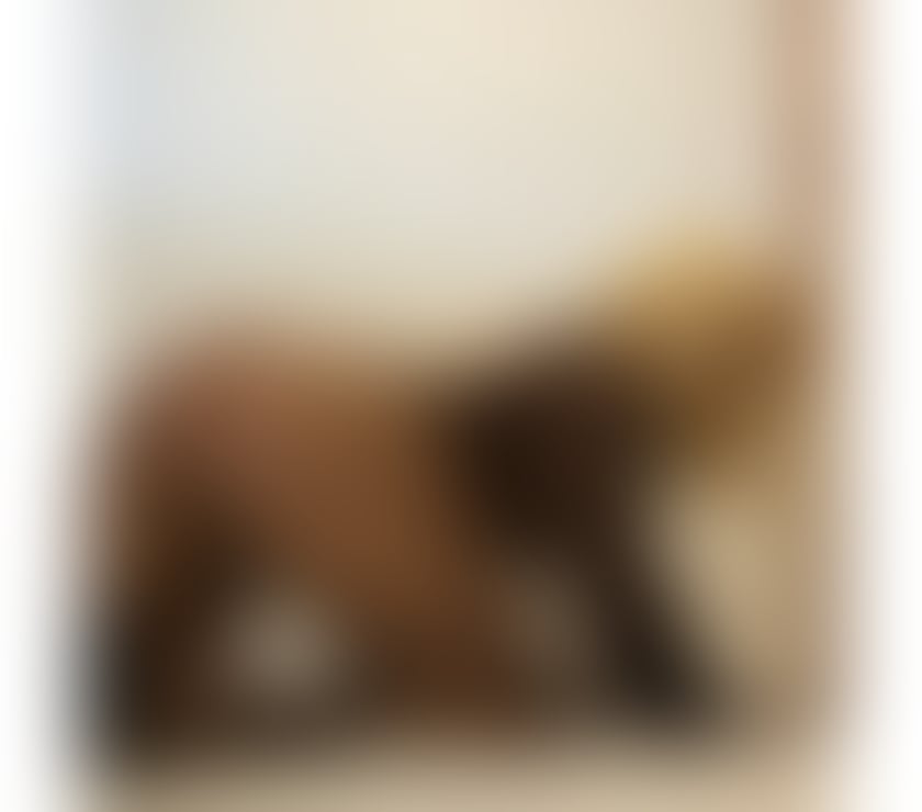 Escorts Kent Medway - Kent - Photos for ꧁꧂JOLLIE꧁꧂24H 🌸INCALL&OUTCALL🌸CALL NOW ꧂