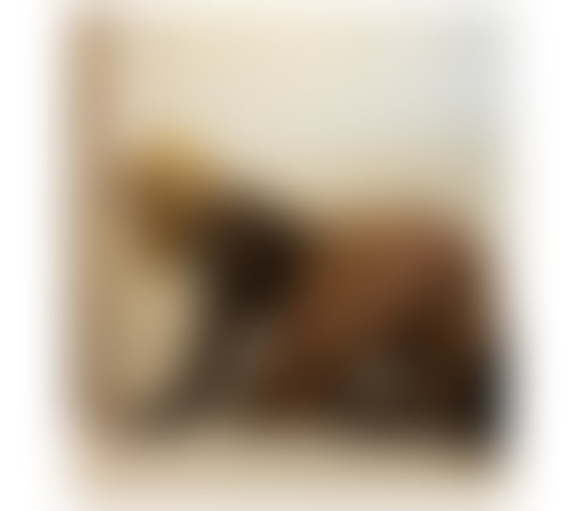 Escorts Kent Medway - Kent - Photos for ꧁꧂JOLLIE꧁꧂24H 🌸INCALL&OUTCALL🌸CALL NOW ꧂