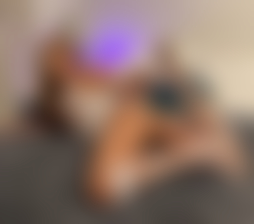 Trans Escorts Buckinghamshire Milton Keynes - Photos for New Karen Don X