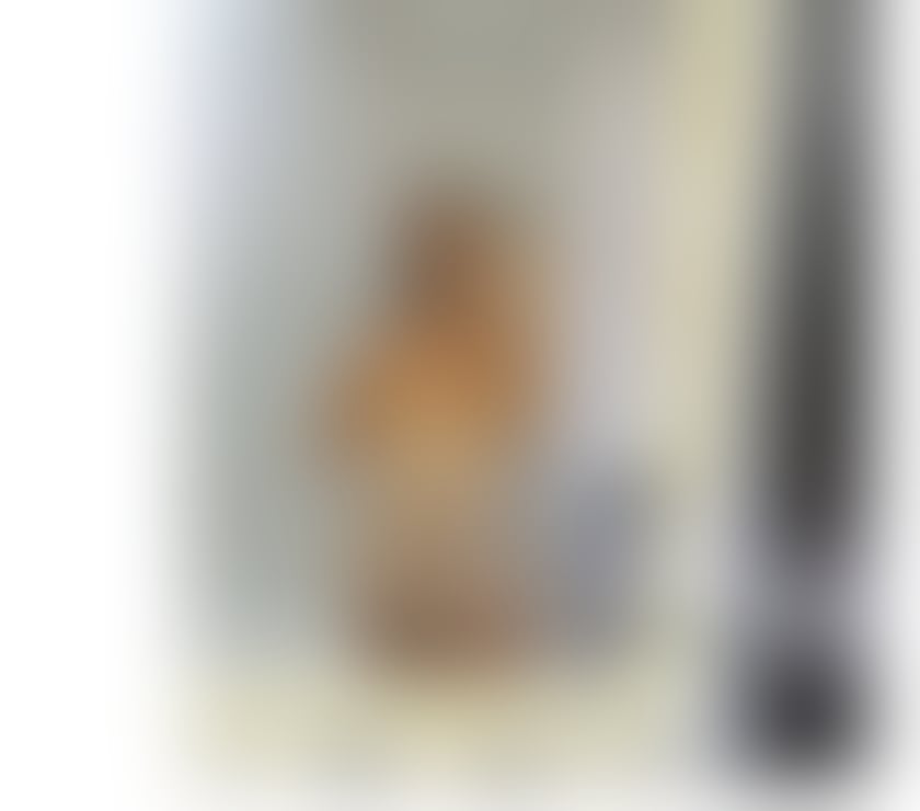Escorts Bristol Bristol City Centre - Bristol - Photos for 🔥New girl in 🔥town, excellent service🔥
