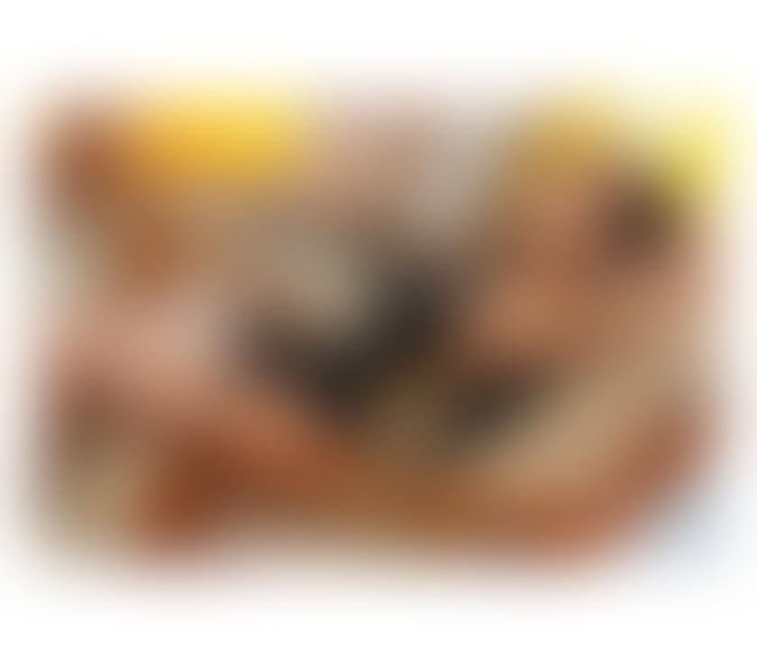 Escorts Kent Swale - Photos for Cola🫦 Thai Best service NO RUSH IN ❤️ Sittingbourne
