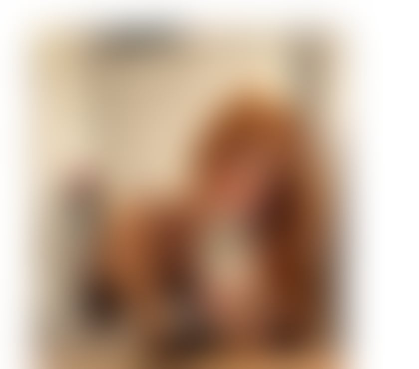 Escorts Central London Kensington and Chelsea - Photos for ✨ ISA BRAZILIAN 🇧🇷🔥TRANS 🏳️‍⚧️🍆