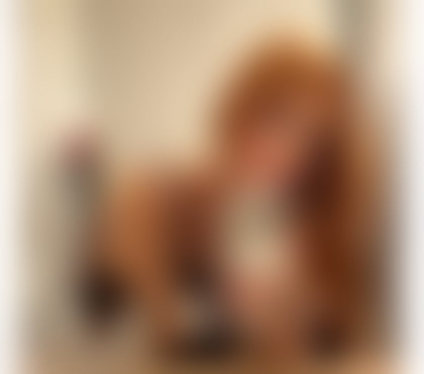 Trans Escorts Central London Kensington and Chelsea - Photos for 🇧🇷 ISA BRAZILIAN ✨ VERY HOT 🫦🔥