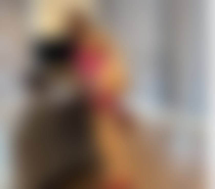 Escorts Westmorland and Furness Natland - Westmorland and Furness - Photos for Hello. Gentlemen I’m Daorueng thailand.🔥🔥