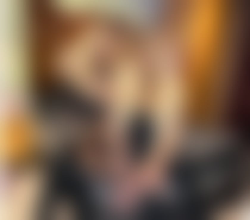 Trans Escorts North West London Maida Vale Station - North West London - Photos for Camila BBC huge Dom 😈🍆💦