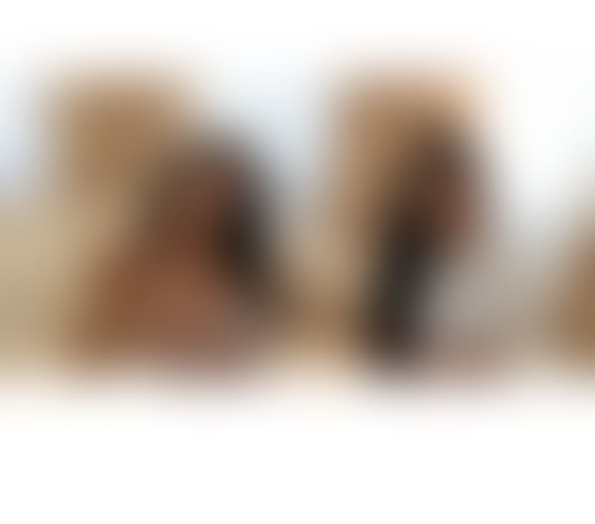 Escorts Oxbridge Dorset - Photos for Hi, two girls looking to party. Only outcalls