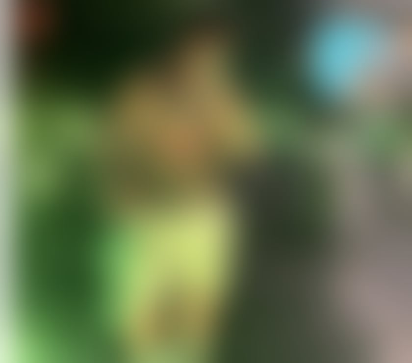 Gay Escorts Leeds City Centre Leeds - Photos for Felipe, a Brazilian 🇧🇷🔥