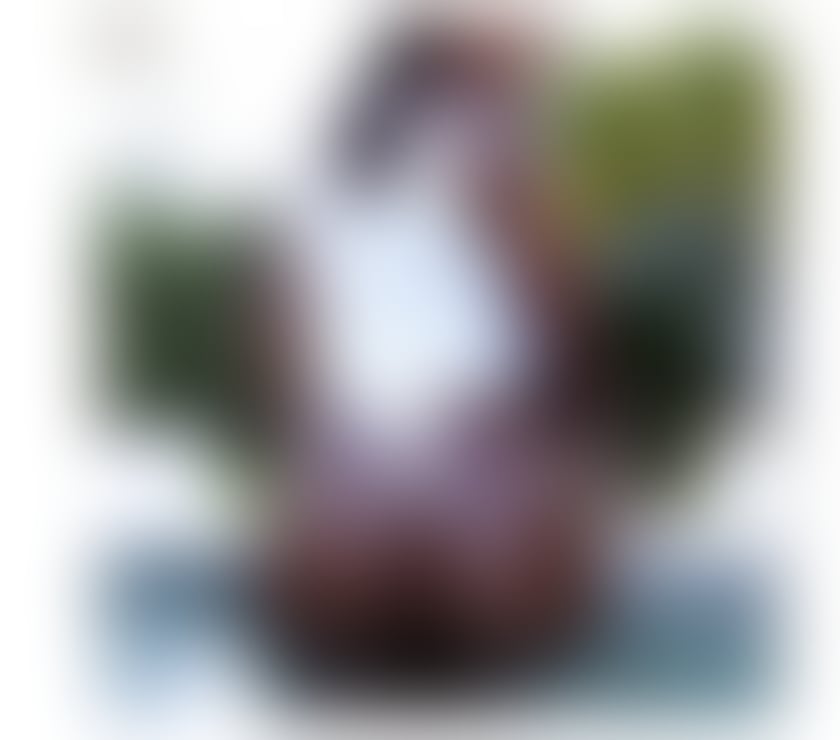 Escorts Greater Manchester Manchester - Photos for Dark skin African girl.9am to midnight.