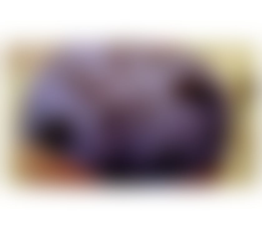 Escorts Nottinghamshire Nottingham - Photos for Roxy - South African Queen....
