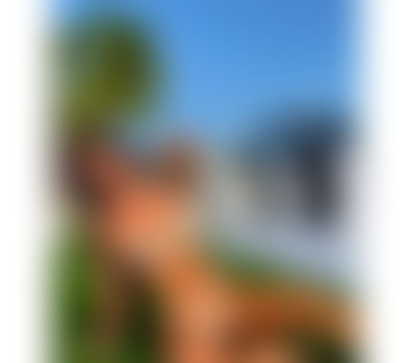 Escorts West London Paddington - West London - Photos for SEXY&HOT GFE ⛓️PARTY - OUTCALL AVAILABLE