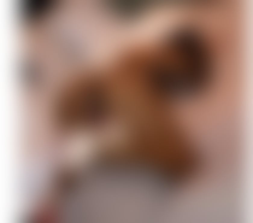 Escorts Buckinghamshire High Wycombe - Buckinghamshire - Photos for ❌❌❌SEXY chloe 🔞PRO-DOM STR@P-ON fetish 👠👗💄