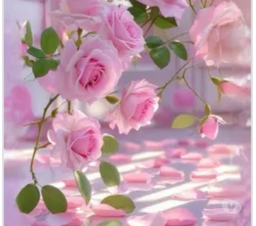 Full body massage West London Chiswick - West London - Photos for Relaxing massage