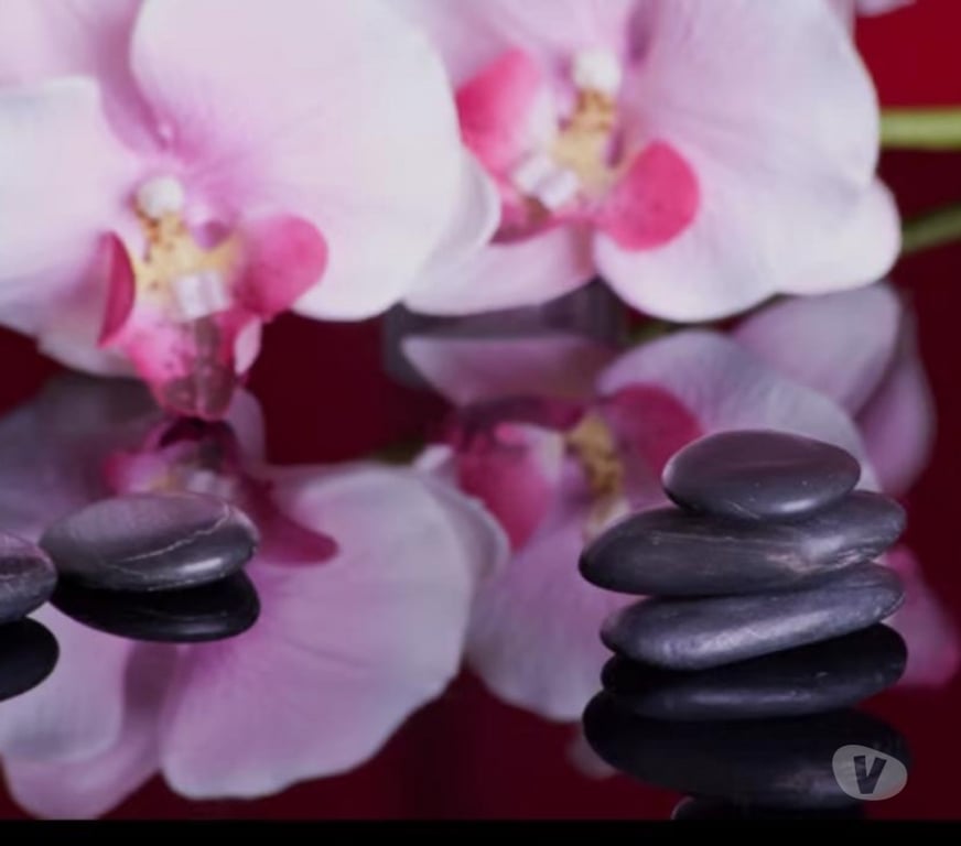 Escorts Highland Inverness - Highland - Photos for The Ultimate Full-Body Massage Experience.