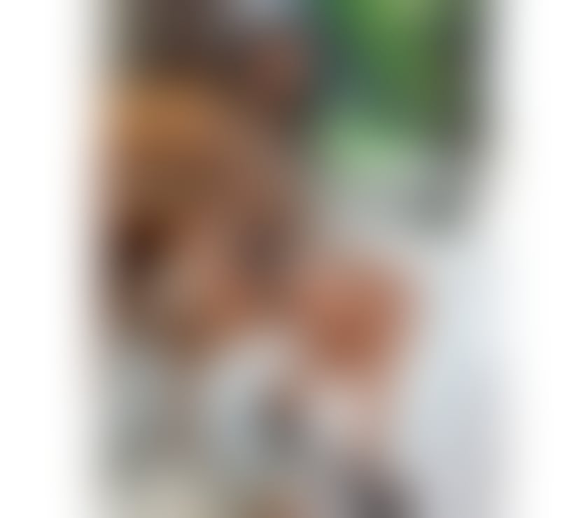 Escorts Lancashire Burnley - Photos for GFE 🔥 FIRST DAY 💞🔥♥️