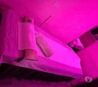Experience a Professional Massage