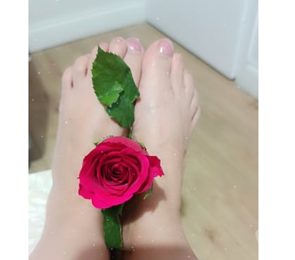 Escorts Worcester City Centre Worcester - Photos for DAYANA hot naughty Latina