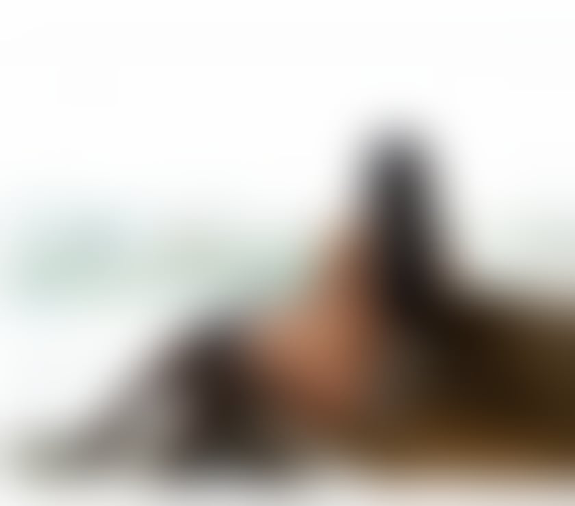 Escorts Peterborough Peterborough City Centre - Peterborough - Photos for NATALIA MILLANO, HOT PARTY WOMAN🔥