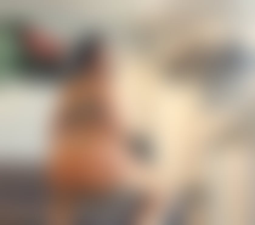 Photos for Julia Brazilian🇧🇷 New In Town 🎀✨ Girl Hot🔥