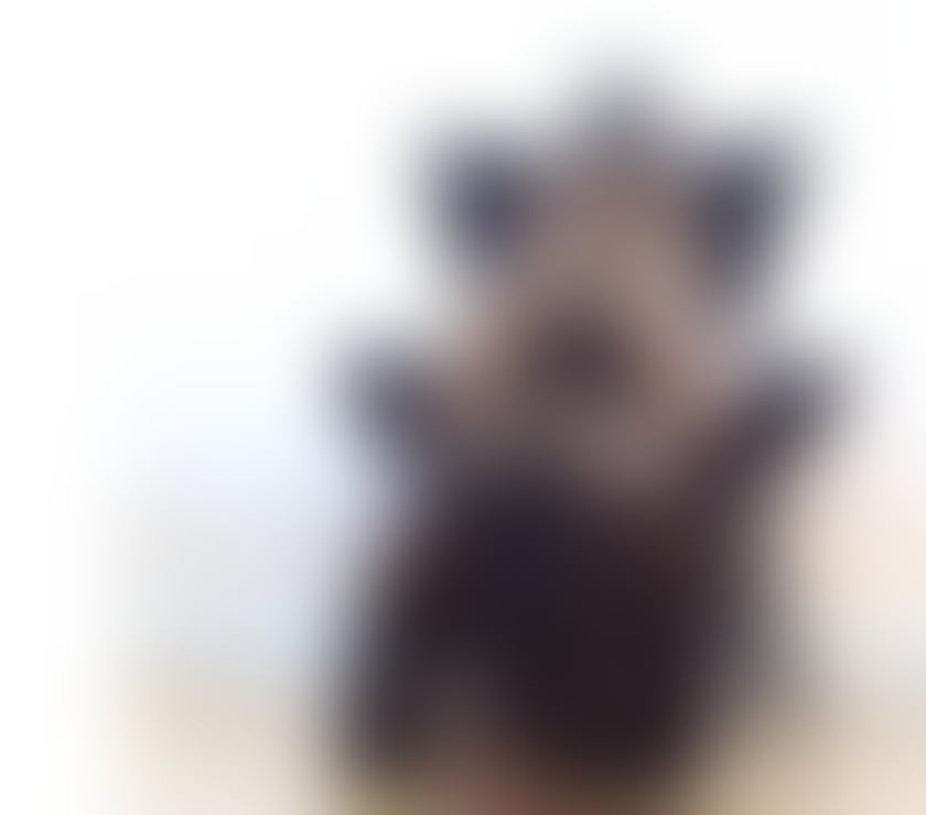 Escorts West London Hillingdon - Photos for 💚💚PATRICIA LADY SEXY 💚💚 BRAZILIAN ONLY 💚💚