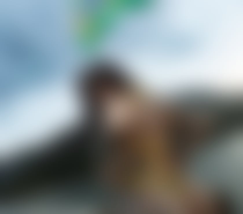 Escorts North Yorkshire Middlesbrough - Photos for Alice BRAZILIAN