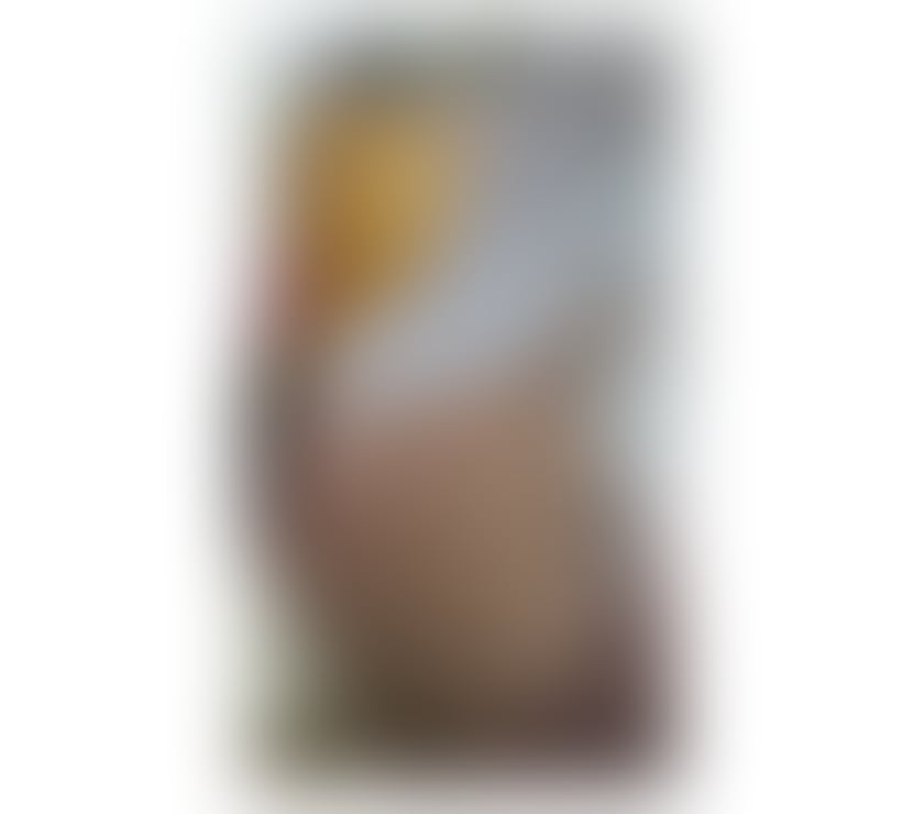 Escorts East London Plaistow - East London - Photos for Norma sexy latina 🌺🌺🍃