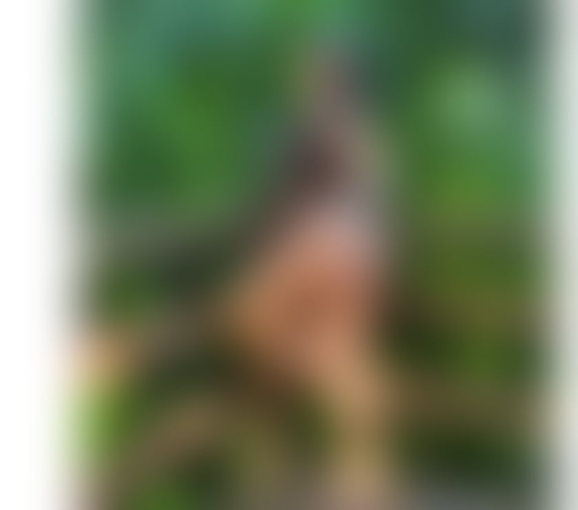 Escorts South West London Sutton - Photos for HOT VITORIA ❤️‍🔥 BEST GIRL 🔝🔥