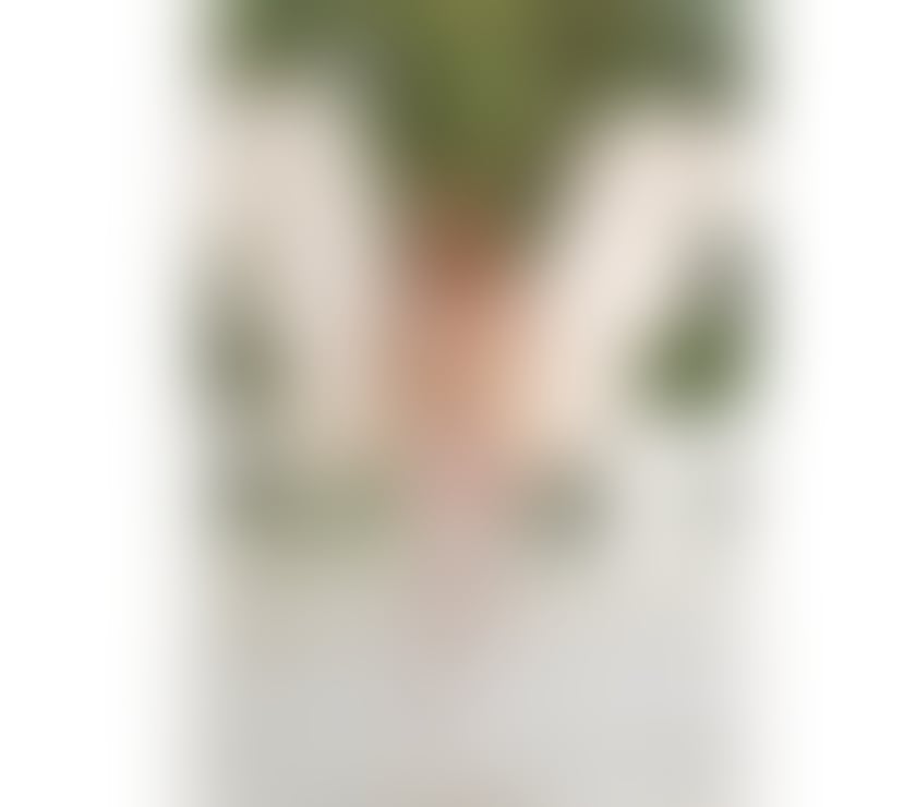 Trans Escorts Surrey Woking - Photos for Gaby, a hot Brazilian body, party girl and very experienced