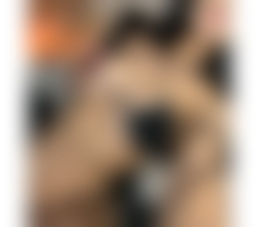 Escorts Warwickshire Warwick - Photos for Antonela EXOTIC LATIN⏳ CURVY ✨
