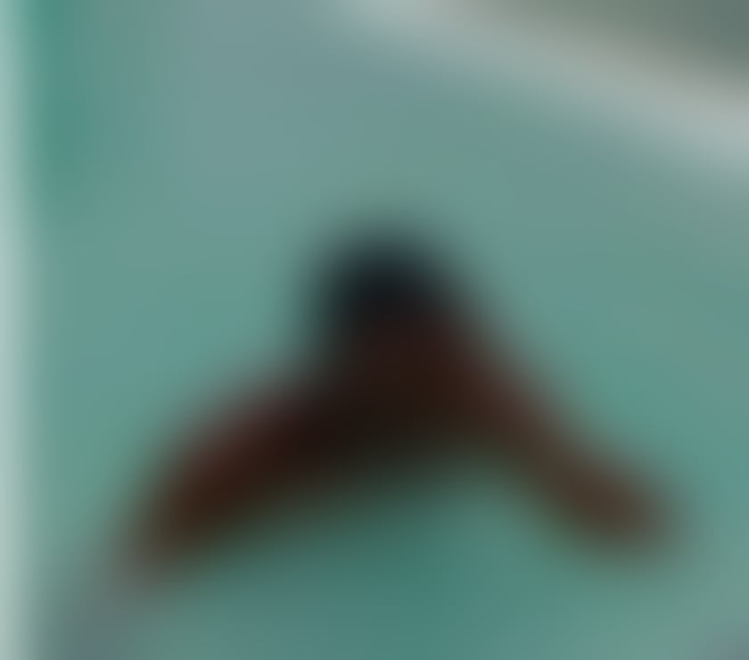 naughty dating Leicester City Centre Leicester - Photos for Man looking for Female N.S.A Fun