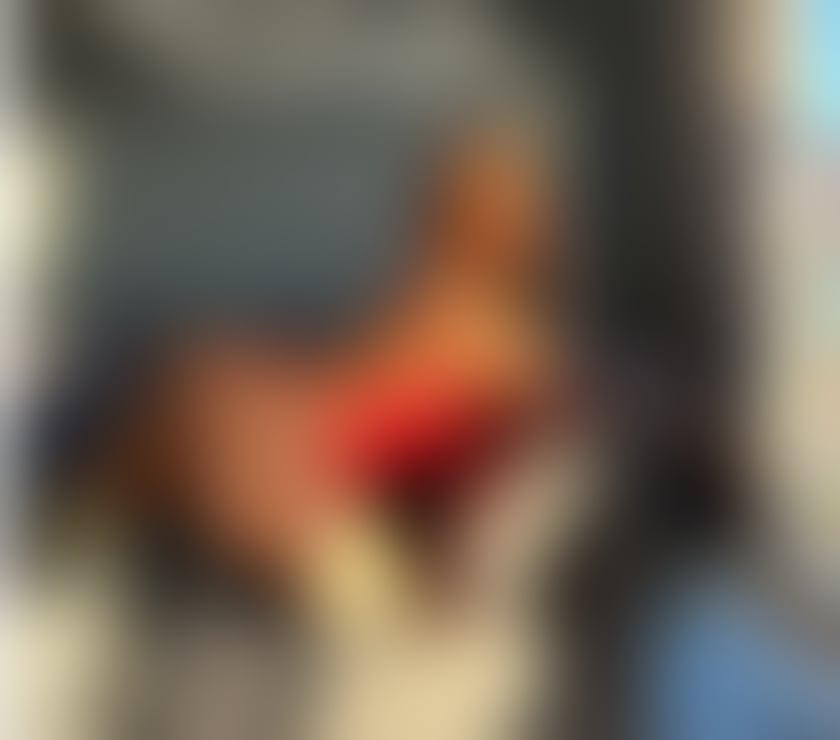 Trans Escorts South West London Kensington - South West London - Photos for Brazilian hottie